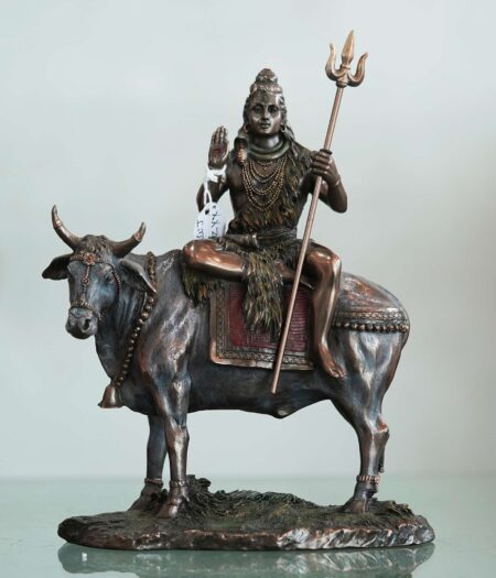 SHIV WITH COW